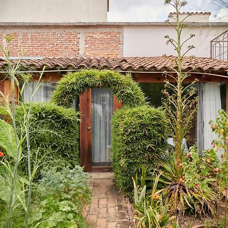 Sereno Hotel San Cristóbal de Las Casas Zewnętrze zdjęcie